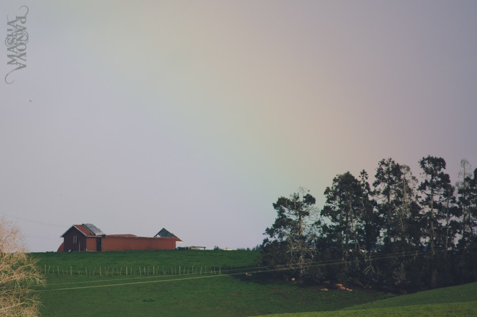 web track day with Fanga-1051